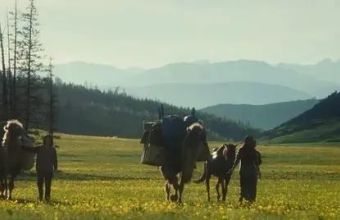 王薇 | 草原的声音——《我的阿勒泰》的听觉“疗愈体验”