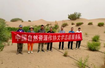 走进塔克拉玛干沙漠锁边工程——中国自然资源作协文学志愿服务队采访纪实