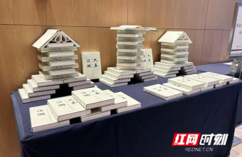 《大美江湖》新书发布：以文学之笔绘就岳阳文旅新篇章