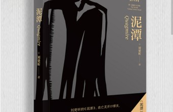 讲述了悲伤的获奖感言后，刘楚昕《泥潭》出版，余华写推荐语