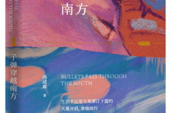 《子弹穿越南方》