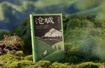 上市3个月加印6次，素人作者首部作品如何出圈？