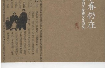 在地气与天际线之间：批评伦理与“摆渡人”的使命|刘祖亮