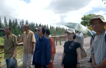 鲁奖名家走进崇明生态岛，文学与绿色蝶变诗意邂逅