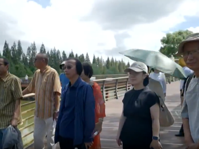 鲁奖名家走进崇明生态岛，文学与绿色蝶变诗意邂逅