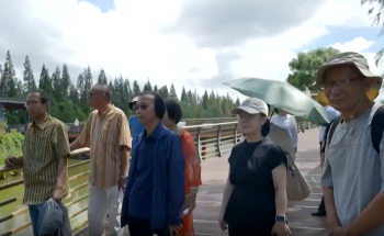 鲁奖名家走进崇明生态岛,文学与绿色蝶变诗意邂逅