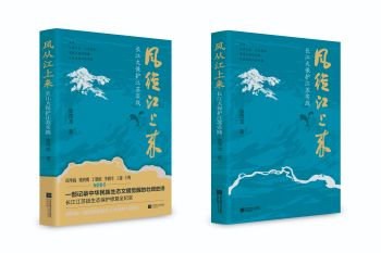 从“问题书写”到“文明叙事”:读评张茂龙《风从江上来》