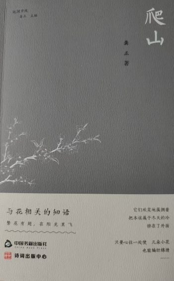 张月明｜把山走成路：读李风宇评龚正诗集《爬山》