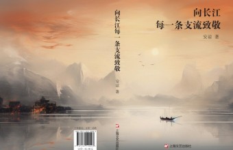 诗意的逐梦之旅 ——《向长江每一条支流致敬》读札