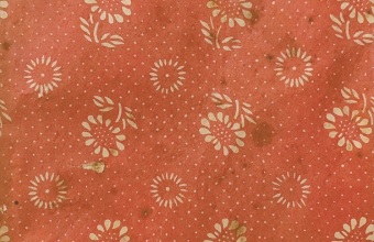 百合花永远芬芳——缅怀作家茹志鹃