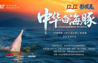 强国影视观察|生命纪事：从珠江口到人类未来——专访纪录电影《中华白海豚》总导演闫东