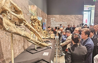 一场跨越千万年的生命对话——54件珍贵和政古动物化石在深圳亮相