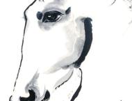 知己凝眸处：水墨见龙驹（创作谈）