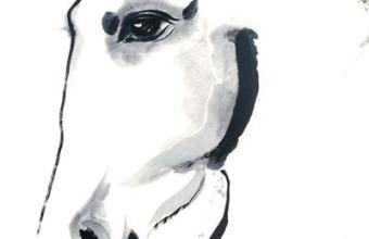 知己凝眸处：水墨见龙驹（创作谈）