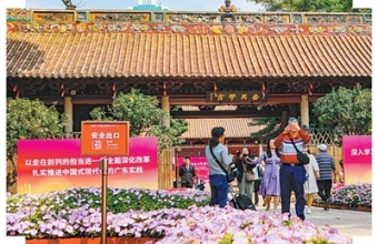 多样出游 年味出新（文化中国行）