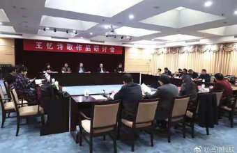 青年作家王忆印象及《乘风或岛屿》简评  