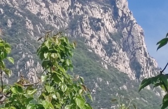 笔墨凝当阳 文心再启航