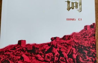 灵魂的震颤，或兵的发言稿：简论堆雪散文诗集《兵词》