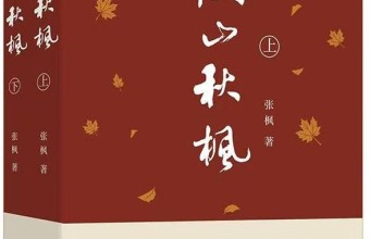 安安静静的力量——论《漫山秋枫》的“拙”之美
